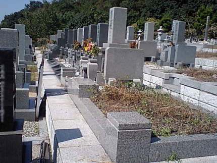 段差も少なく車椅子やお年寄りでも安心