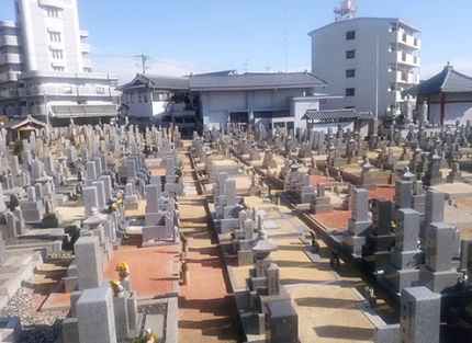 墓域２