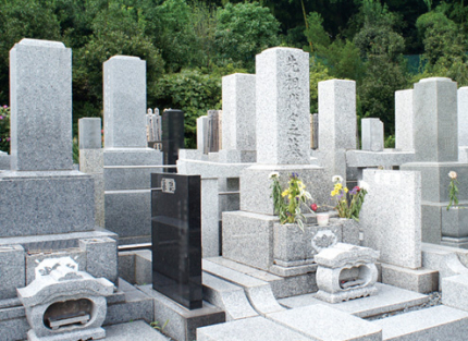 墓域