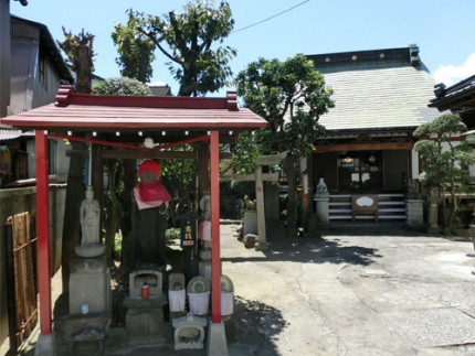 新区画