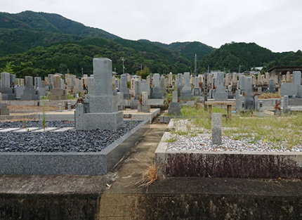 墓地風景4
