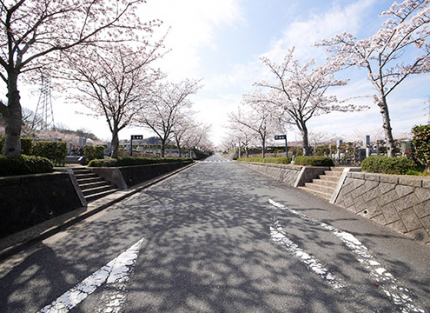 霊園内道路