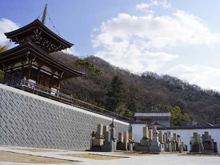 墓地新区画風景