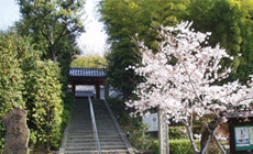 山門
