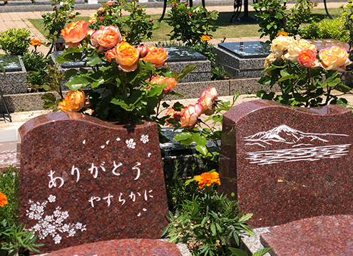 墓域１