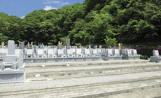 一般墓地