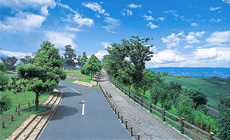 周囲には、ブドウ畑が点在する大変のどかな田園風景が広がります。