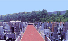 園内風景2
