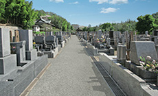 墓域