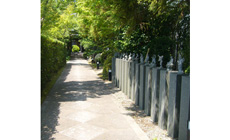 石像が並ぶ参道