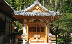 墓地風景