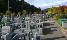 区画までお車で行け、足場にはスロープや石畳が施され細かい配慮が行き届いています。