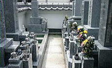 墓域