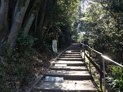 墓所へ続く参道