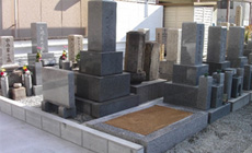 1.5聖地セット墓地