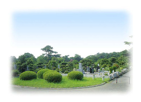 風景1 - よく手入れされた植栽に囲まれ、整然と区画された霊園内