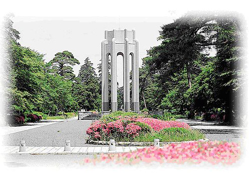 風景 - 四季折々の自然で囲まれた心やすらぐ霊園風景