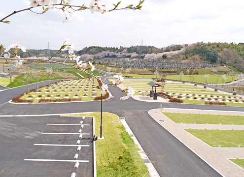 霊園風景1 - 日当たりがよく開放感あふれる霊園内。