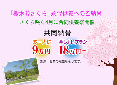 「樹木葬さくら」共同納骨