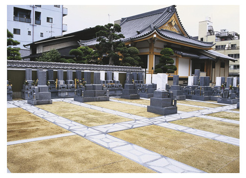 墓地区画