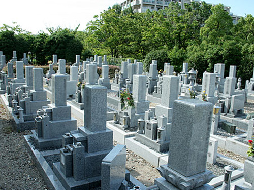 墓地区画