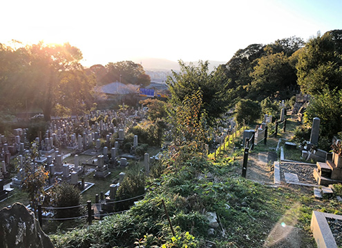 墓域全景