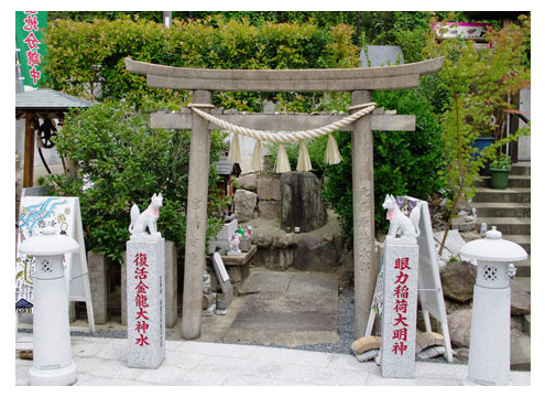 境内に湧き出る「金龍清水」は天王寺七名水のひとつに数えられ、清冽でほのかな甘みを帯びた水質から、茶の湯としても重宝されました。