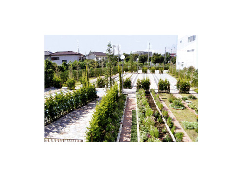 園内に配置された花壇が一年中四季折々の花々を咲かせます。