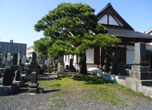 趣きのある寺院にある閑静な墓所