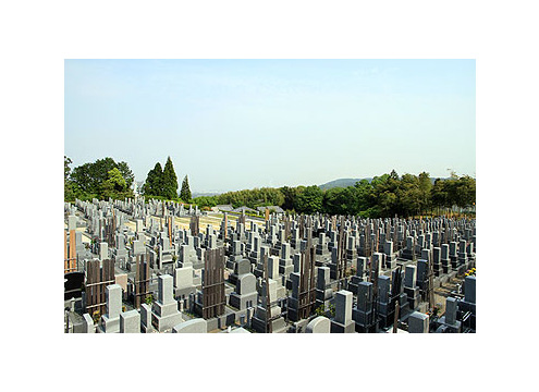 竹林の緑がすがすがしい墓地