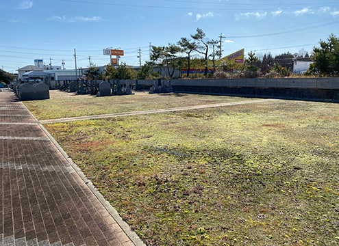 墓域