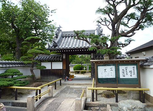 寺院写真