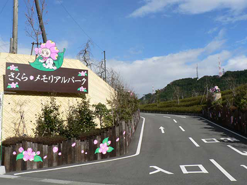 入口