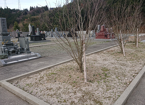 墓域
