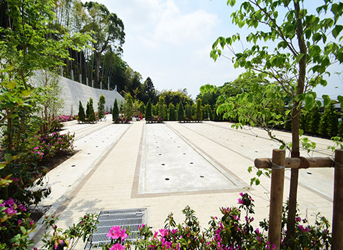 墓域１