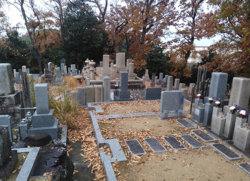 墓域