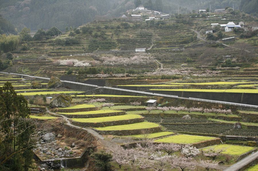 画像その2