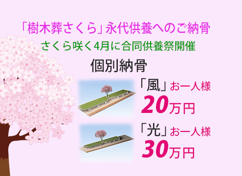 「樹木葬さくら」個別納骨