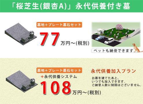 桜芝生地区。好評につき、残りわずかとなりました。中央にシンボルツリーの桜があり、桜を囲むように区画を配置。ご希望の方はお早めにお申し込みください。