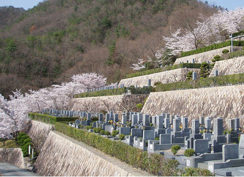 園内は桜やサツキ・紅葉などが四季を彩ります。