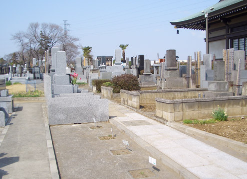 墓域