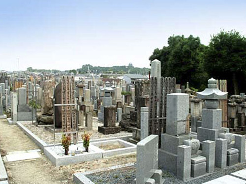 墓地区画