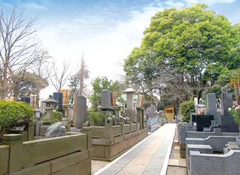 墓域
