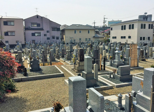 墓地内