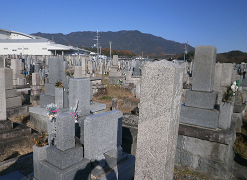 墓域２