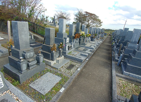 墓域２