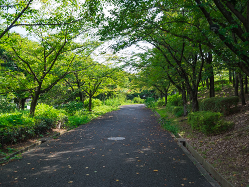 墓地風景