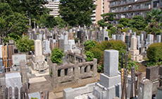 墓域風景