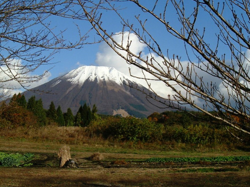 大山ふもとの豊かな自然。
