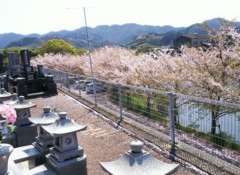 すべての区画が南向きで日当たりが良い。